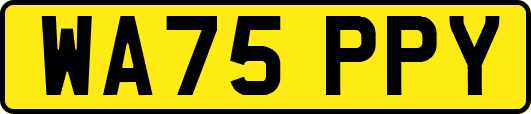 WA75PPY