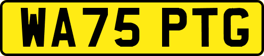 WA75PTG
