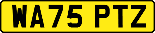 WA75PTZ