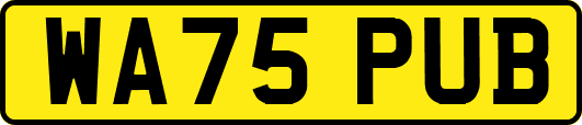 WA75PUB