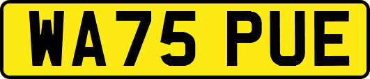 WA75PUE