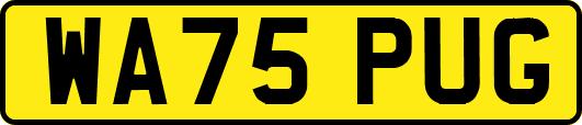 WA75PUG