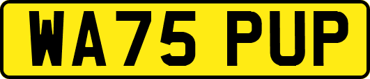 WA75PUP