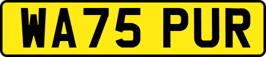 WA75PUR