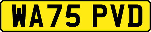 WA75PVD