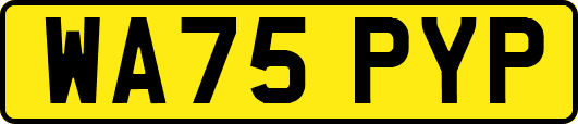 WA75PYP