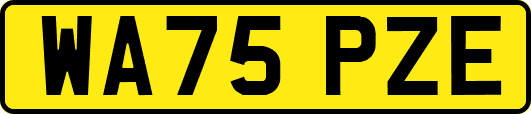 WA75PZE