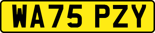 WA75PZY