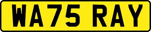 WA75RAY