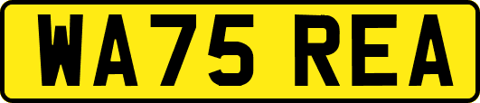 WA75REA