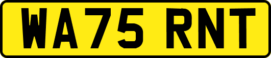 WA75RNT