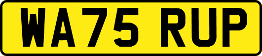 WA75RUP