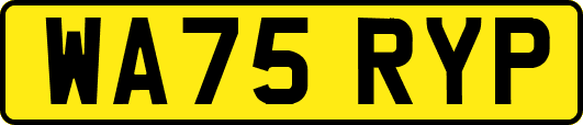 WA75RYP