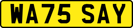 WA75SAY