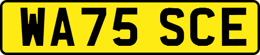 WA75SCE