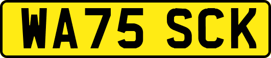 WA75SCK