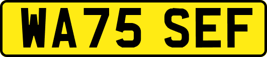 WA75SEF
