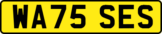 WA75SES