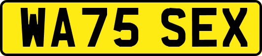 WA75SEX