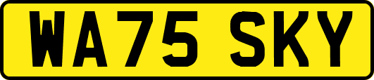 WA75SKY