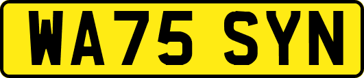 WA75SYN