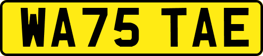 WA75TAE