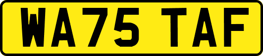 WA75TAF