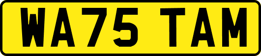 WA75TAM