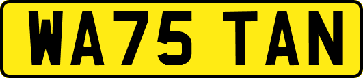 WA75TAN