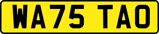 WA75TAO