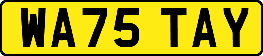 WA75TAY
