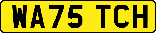 WA75TCH