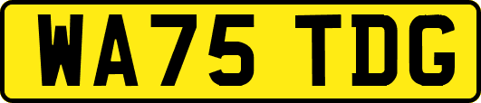 WA75TDG