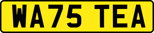 WA75TEA