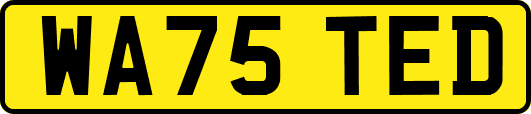 WA75TED