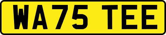 WA75TEE