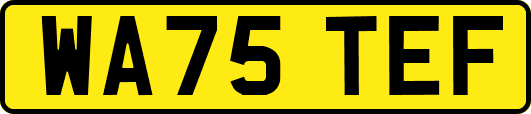 WA75TEF