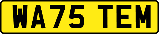 WA75TEM