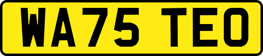 WA75TEO