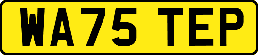 WA75TEP