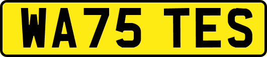 WA75TES