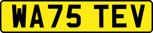 WA75TEV