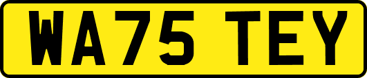 WA75TEY