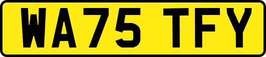 WA75TFY