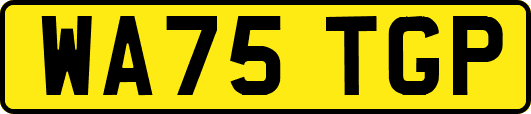 WA75TGP