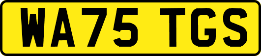 WA75TGS