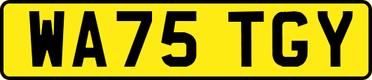WA75TGY