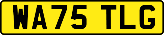 WA75TLG
