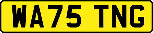 WA75TNG