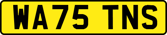 WA75TNS